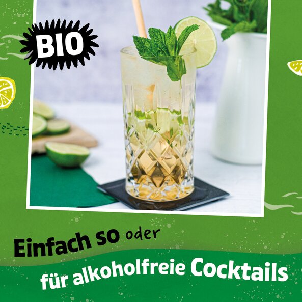 01274_Mojito Sirup_K2.jpg